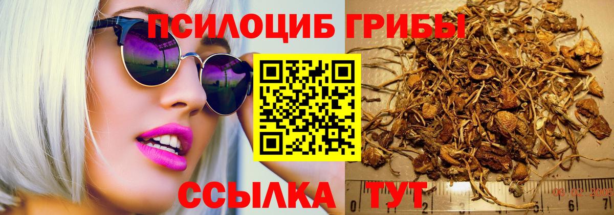 Галлюциногенные грибы мицелий  Вход с VPN  Краснокамск  Галлюциногенные грибы Magic Shrooms 