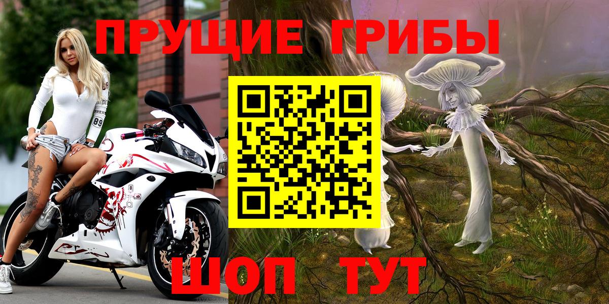 Галлюциногенные грибы Psilocybine cubensis Краснокамск